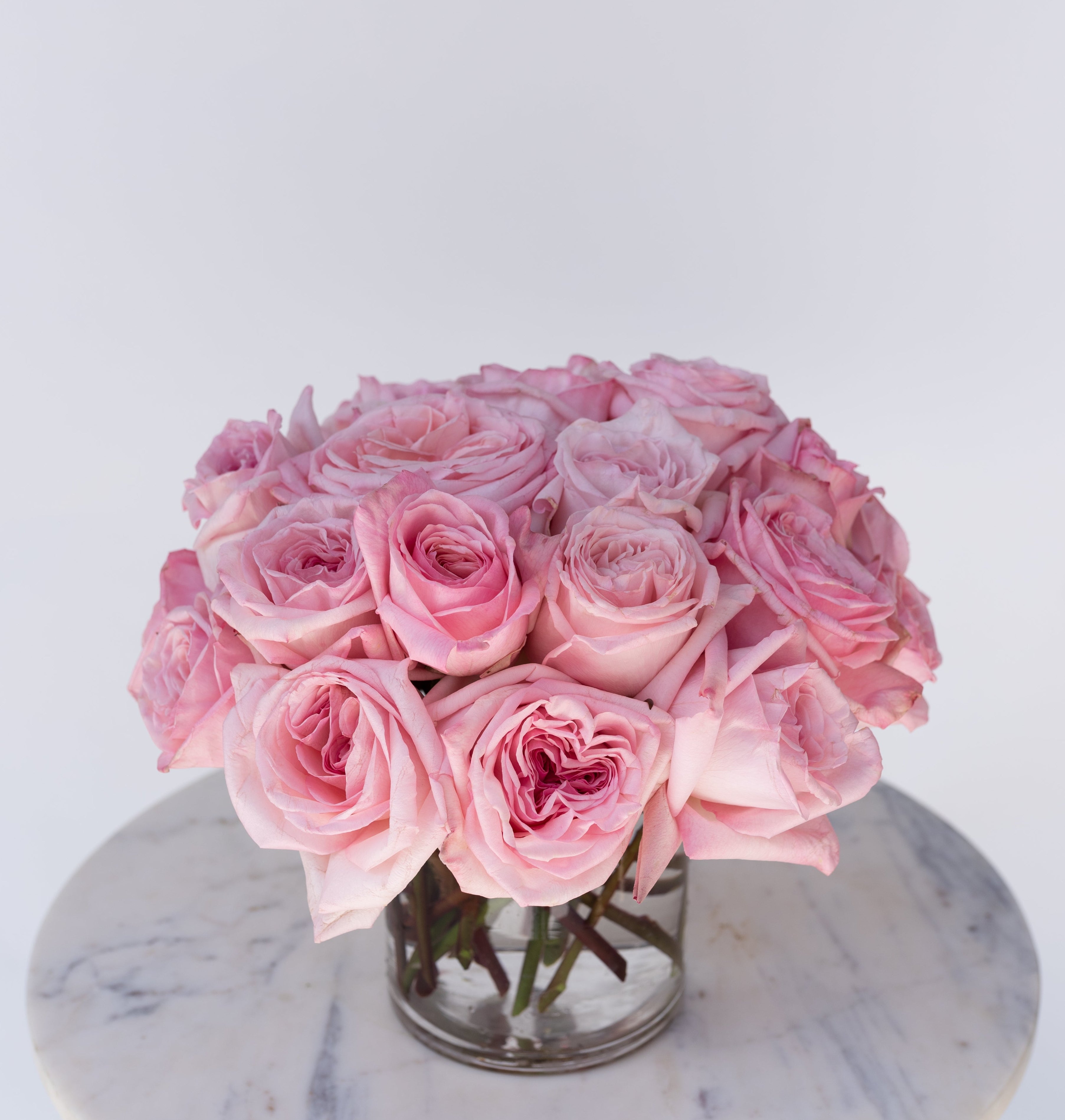 Rose Collection - Pink