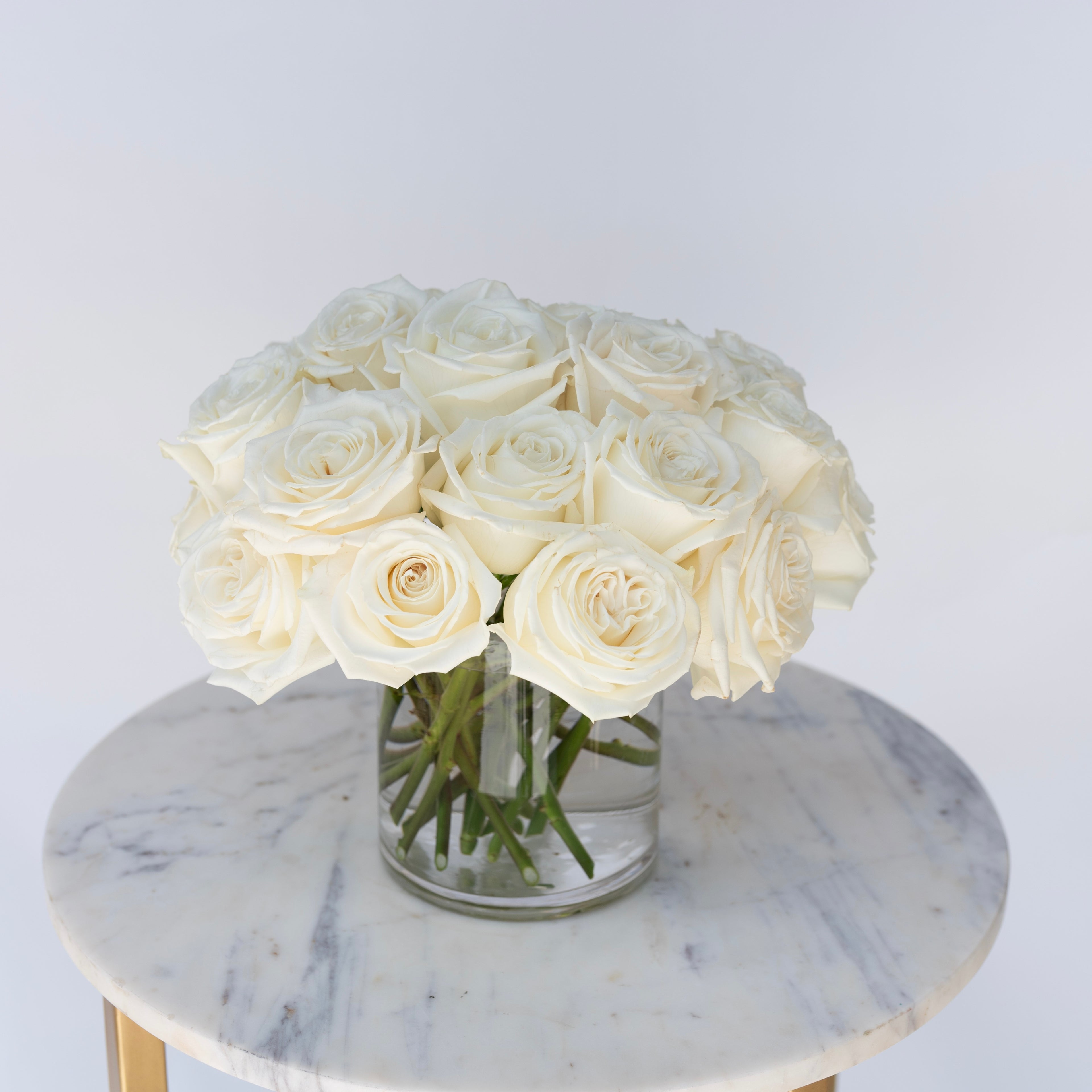 Rose Collection - White