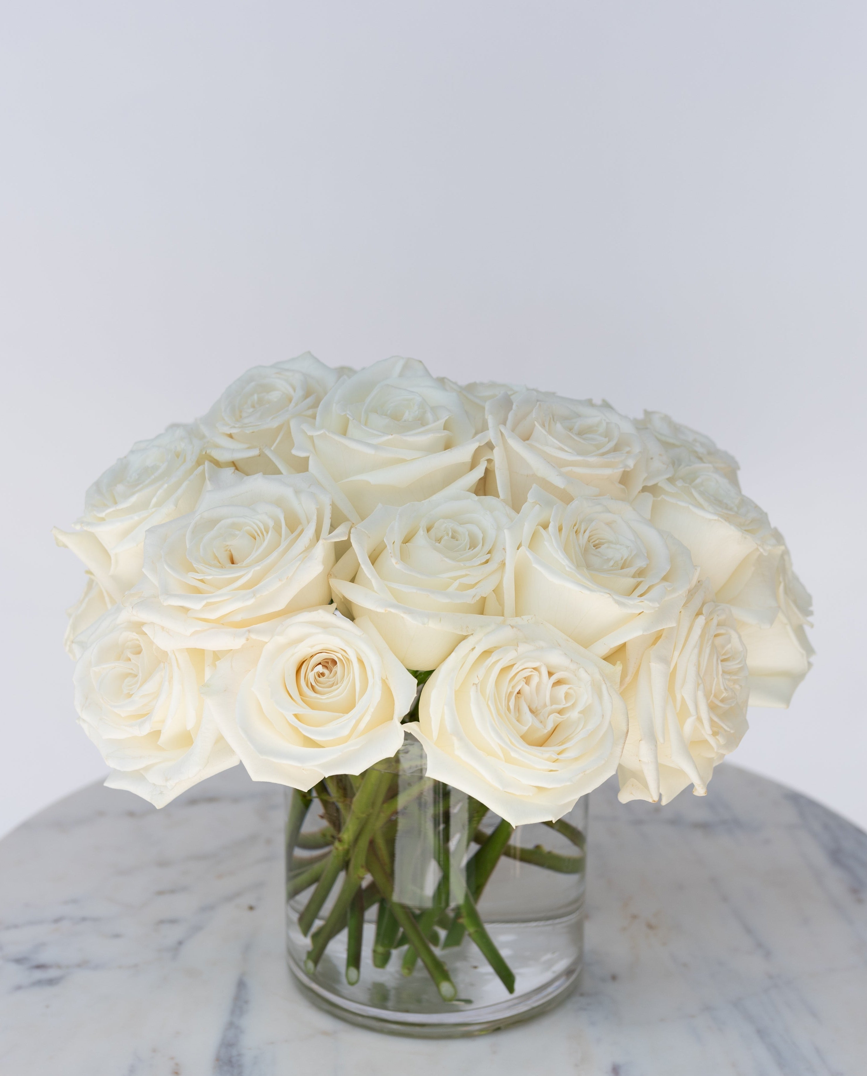 Rose Collection - White