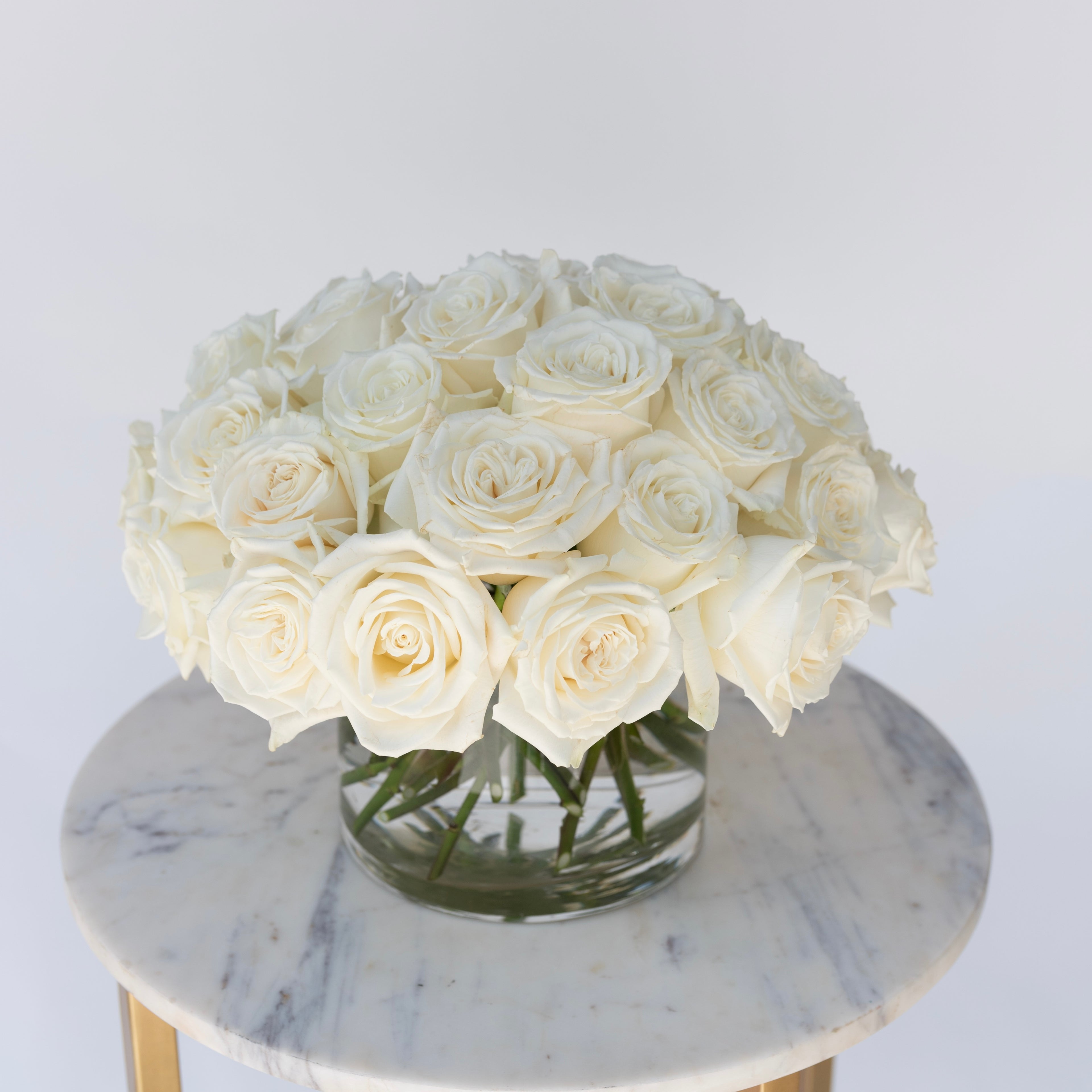 Rose Collection - White