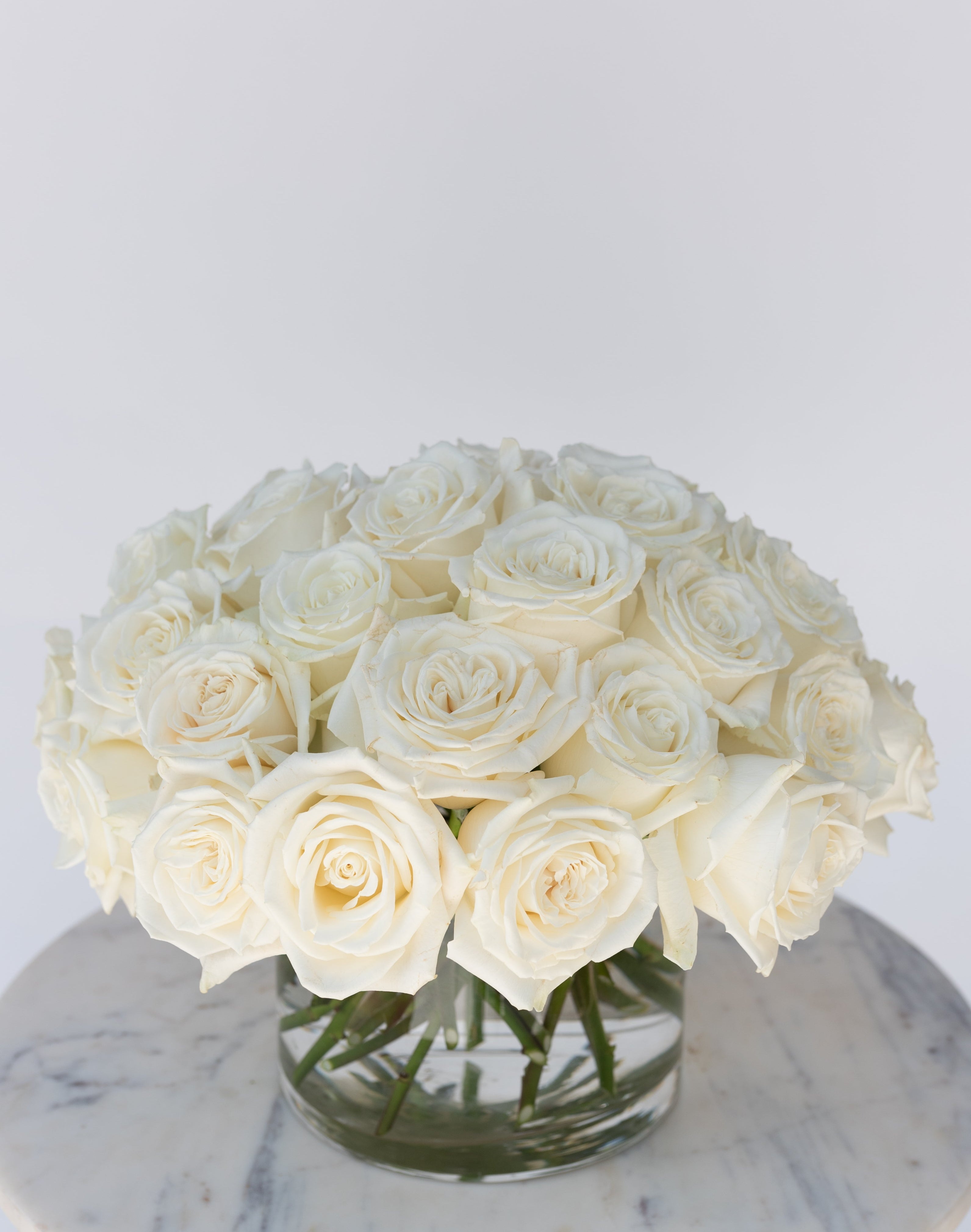 Rose Collection - White