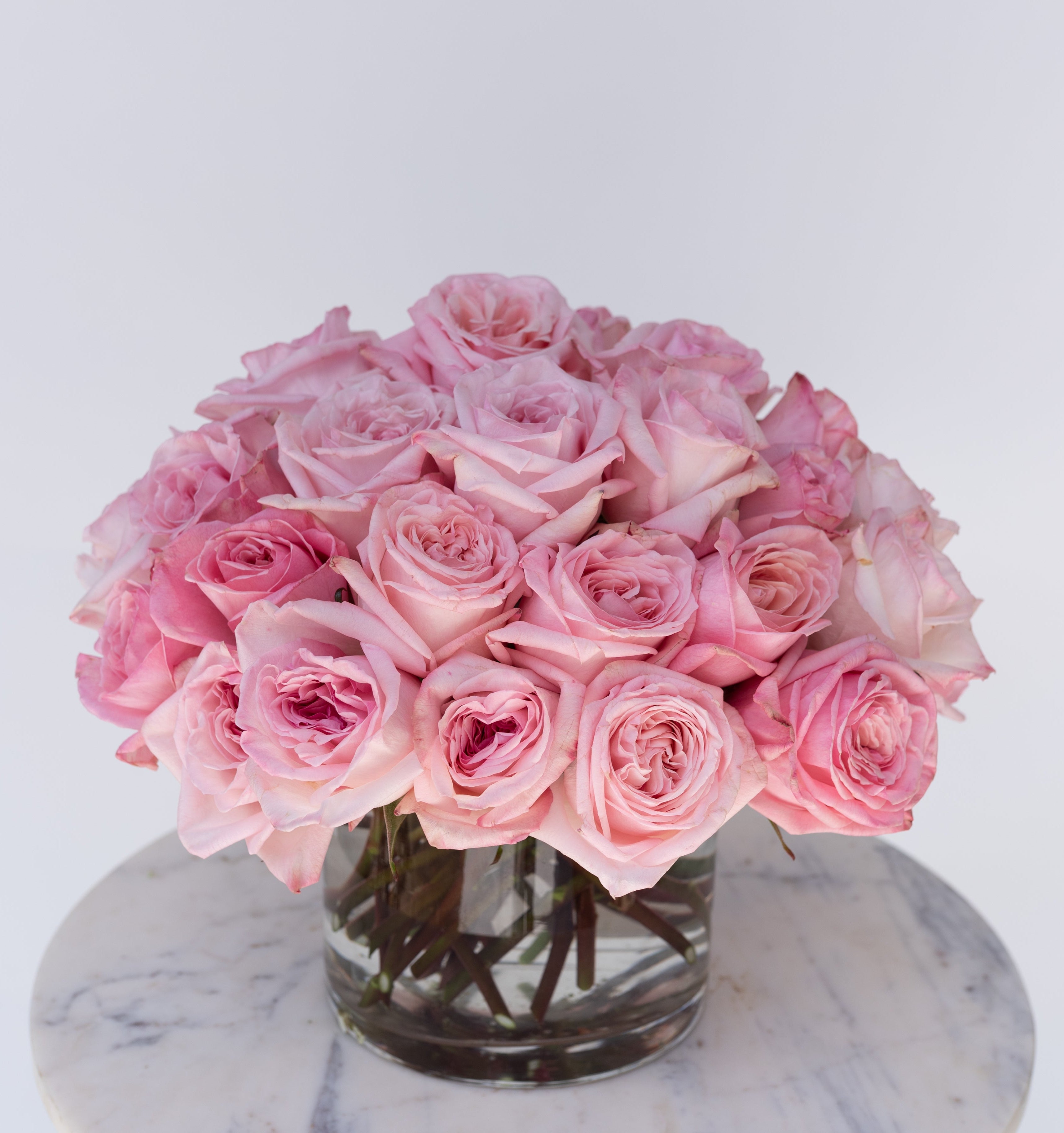 Rose Collection - Pink