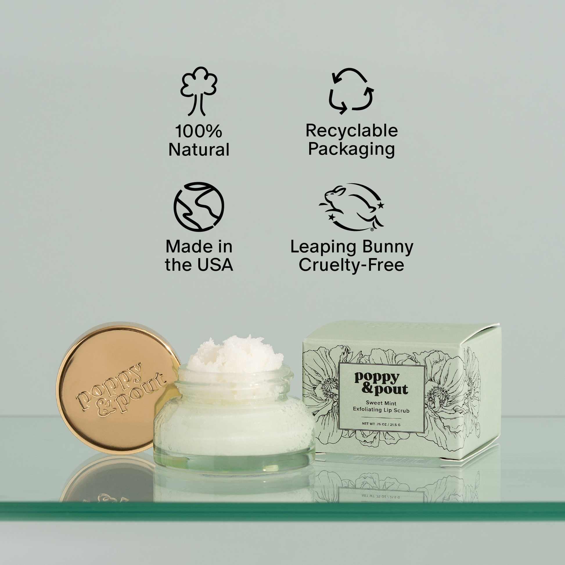 Lip Scrub - Sweet Mint