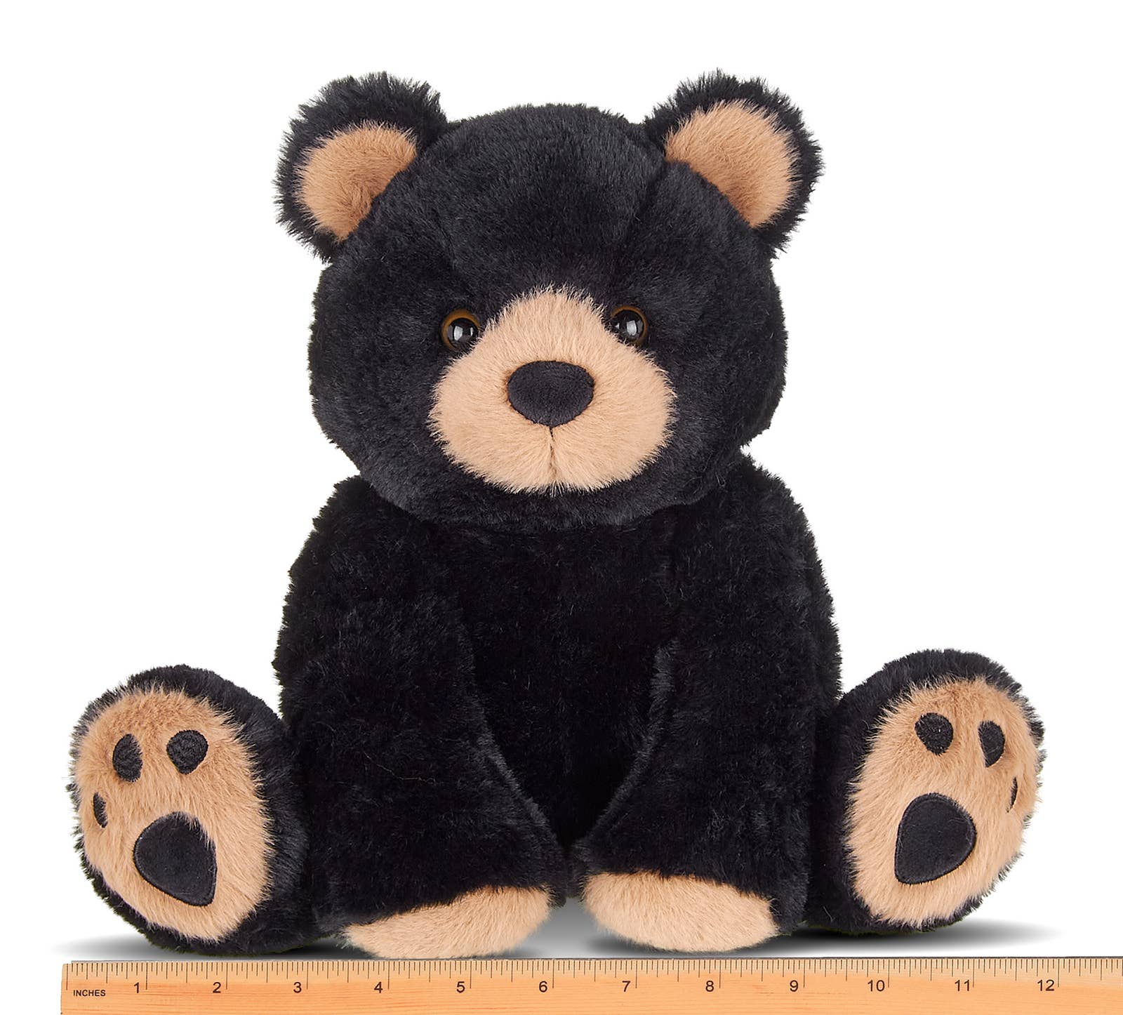 Rocky the Black Bear