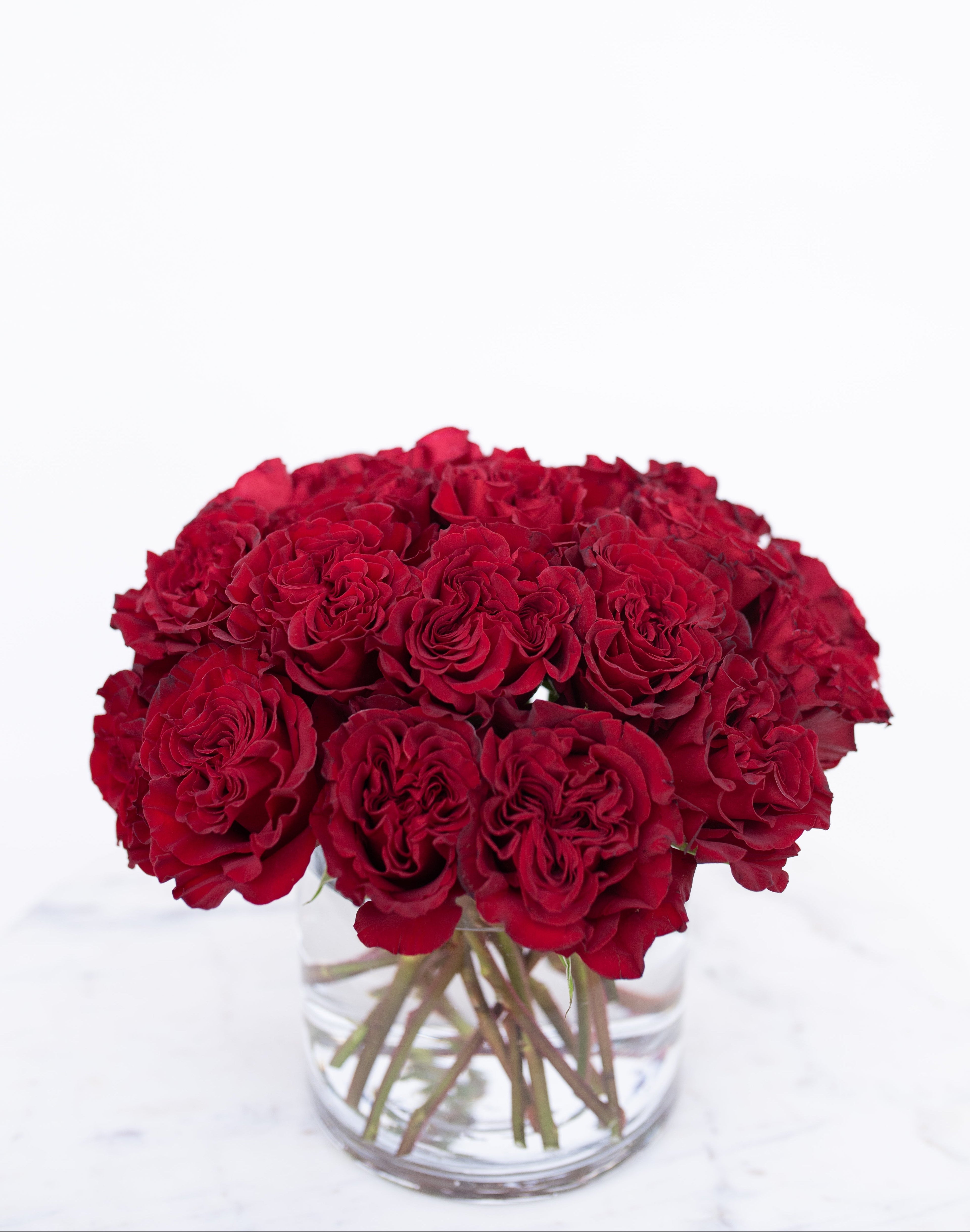 Rose Collection - Red